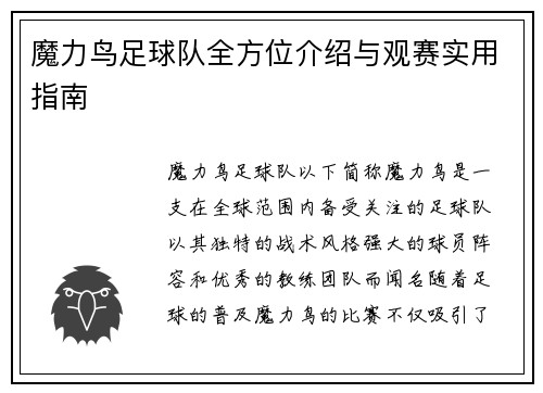 魔力鸟足球队全方位介绍与观赛实用指南